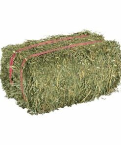 AGROCOM's Premium Alfalfa Hay: Nourishing Forage for Livestock Health