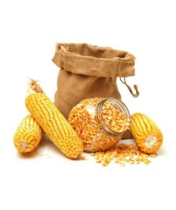 Yellow Corn for Animal Feed