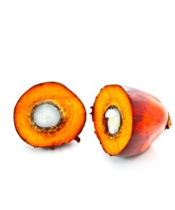 refined palm oil